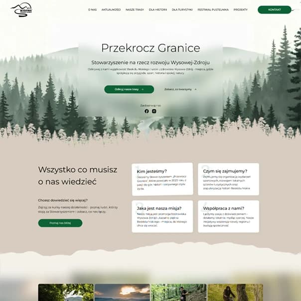 Element z portfolio projektowania sklepów online